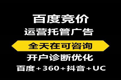 提升关键词竞价排名转化率：经典案例解析